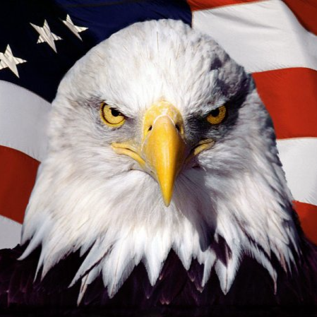 Kuba (jmalinkiewicz)